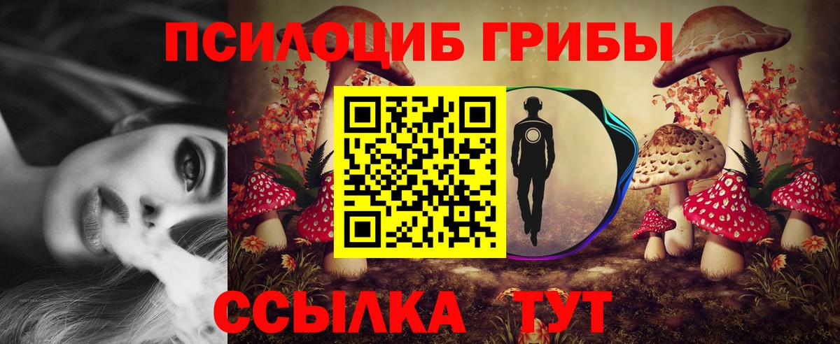 Псилоцибиновые грибы Cubensis Северобайкальск